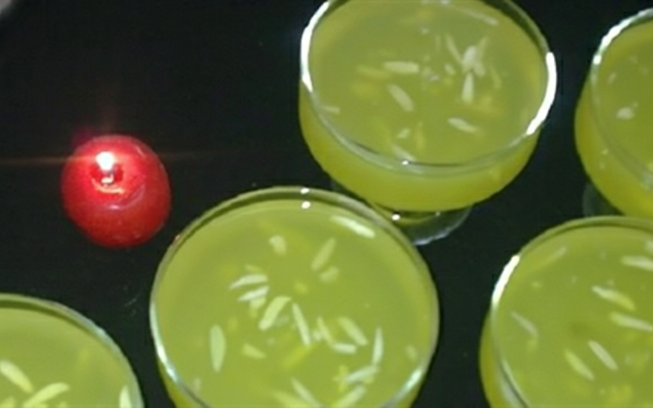 مشکوفی یا مسقطی کاسه ای